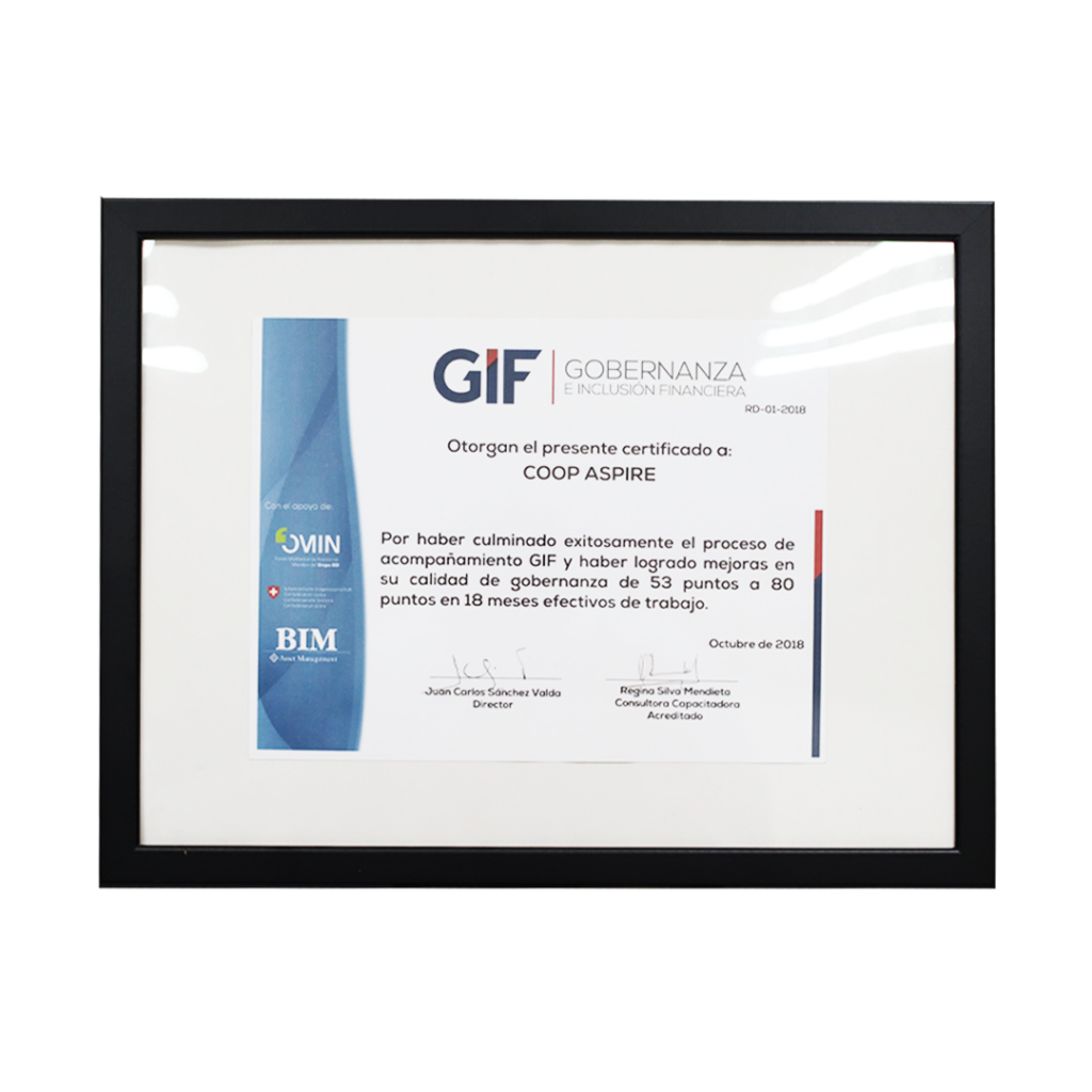 GIF gobernanza 2018