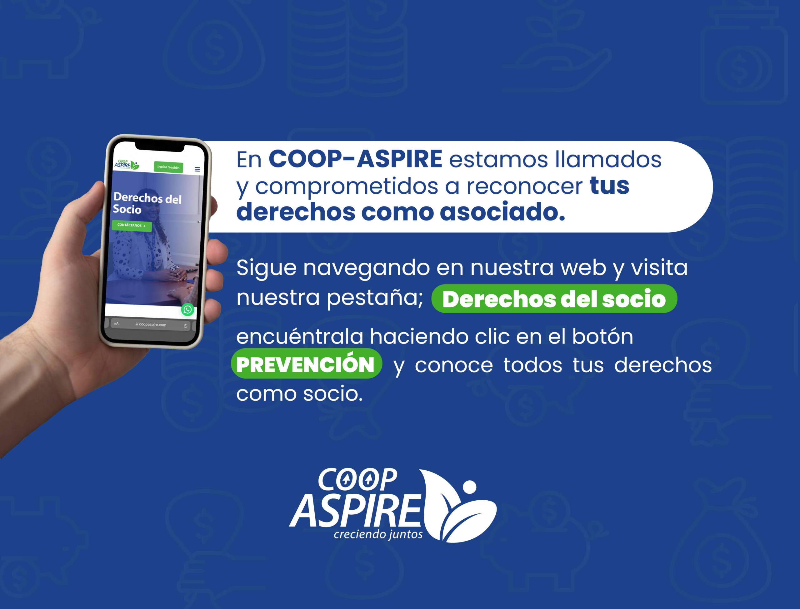 Pagina web-03